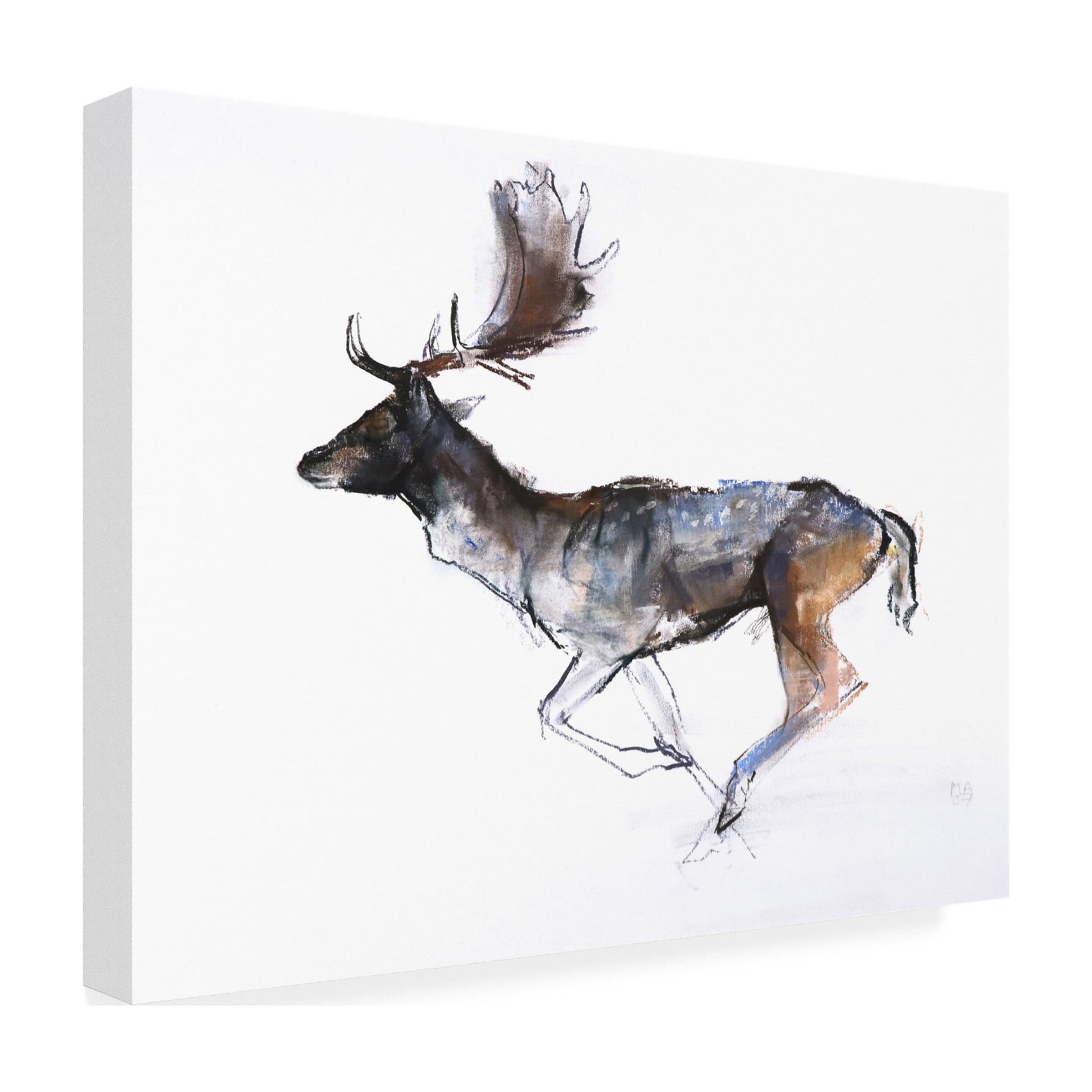 Trademark Fine Art Mark Adlington Evening Buck Fallow Deer Canvas Wall Art - 35x47