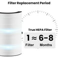 thumbnail image 5 of 2 Pack T20i Replacement Filter Compatible with Blueair Comfort-Pure 3-in-1 Air Purifier Large, HEPA High-Efficiency Activated Carbon Filter for Home Large Room, 5 of 6