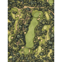 Golf Course Aerial View Canvas Print/Wall Art,Suitable for Living Room,Bedroom,Office,Game Room,Golf Club Decor