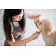 thumbnail image 5 of Tijeras para el cuidado de perros, 5 juegos de herramientas de aseo para mascotas de acero inoxidable revestidas de titanio, tijeras cónicas/rectas/curvas y peines, 5 of 5
