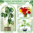 thumbnail image 4 of Toystoory Suministros de soporte para plantas sanas y fuertes Suministros de soporte para plantas Planta efectiva Jardín y Patio, 4 of 6