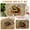 F, variant on Carpet,Home Dinosaur Floor Mats Bathroom Non-slip Mats Door Kitchen Floor Mats Carpet