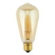 thumbnail image 1 of Foco incandescente Sanelec Sanelec Vintage Tipo Edison 1732, 1 of 2