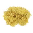 thumbnail image 1 of 7 Musgo Artificial Falso de Musgo de Manualidades Musgo Natural Preservado para Proyectos de Manualidades, Arte floresal, Decoración de Bricolaje, Pared (Amarillo), 1 of 7