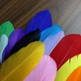 thumbnail image 6 of 120pcs Colorful Goose Feathers for DIY Crafts, Jewelry Making, Wedding, Home or Party Decorations, 12 Colors (6-8 Inches), 6 of 7