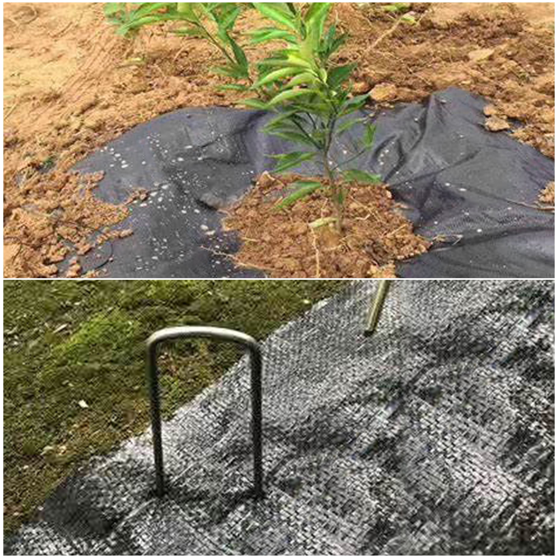 Waltyotur Black PE Woven Landscape Fabric Weed Barrier 3 FT X 300 FT
