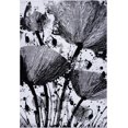 thumbnail image 1 of Ladole Rugs Poppy Floral Pattern Contemporary Indoor Area Rug Carpet in Grey Black, 5x8 (5'3" x 7'6", 160cm x 230cm), 1 of 6