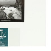 Ilford B&W Paper 8X10 Multigrade IV 100 Pack (Pearl)