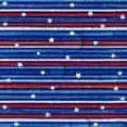 thumbnail image 6 of 4th of July Tablecloth,Independence Day Patriotic Plastic Tablecloth Disposable Table Cover for Patriotic Party Supplies,Decorations for Independence,Veterans,Memorial Day,52x108In, 6 of 8