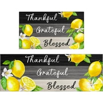 Lemon Kitchen Rugs and Mats Set of 2 Piece Kitchen Decor Decoration Farmhouse Style Non Skid Slip and Washable Anti Fatigue Runner Rugs for Floor Cushioned Rugs for Standing 17x47 17x30