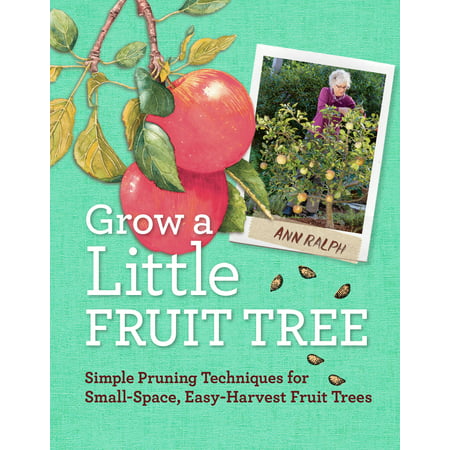 Grow a Little Fruit Tree - Paperback