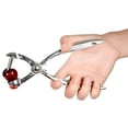 thumbnail image 7 of FACEGA Cherry Pitter Stainless Cherry Remover Chopping Tool To Cherries Stone Cherry Pitter Tool Stainless Steel Fruit Remover White, 7 of 7