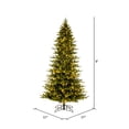 thumbnail image 3 of Vickerman 9' x 57" Kamas Fraser Fir Artificial Christmas Tree with 3mm LED Color Changing Lights, 3 of 7