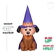 thumbnail image 3 of Perro de bruja inflable para Halloween de 122 cm - decoración Gemmy, 3 of 6