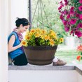 thumbnail image 1 of FOLOYORI Maceta Colgante Para Plantas En Resina Para Uso Interior Y Exterior, 1 of 8