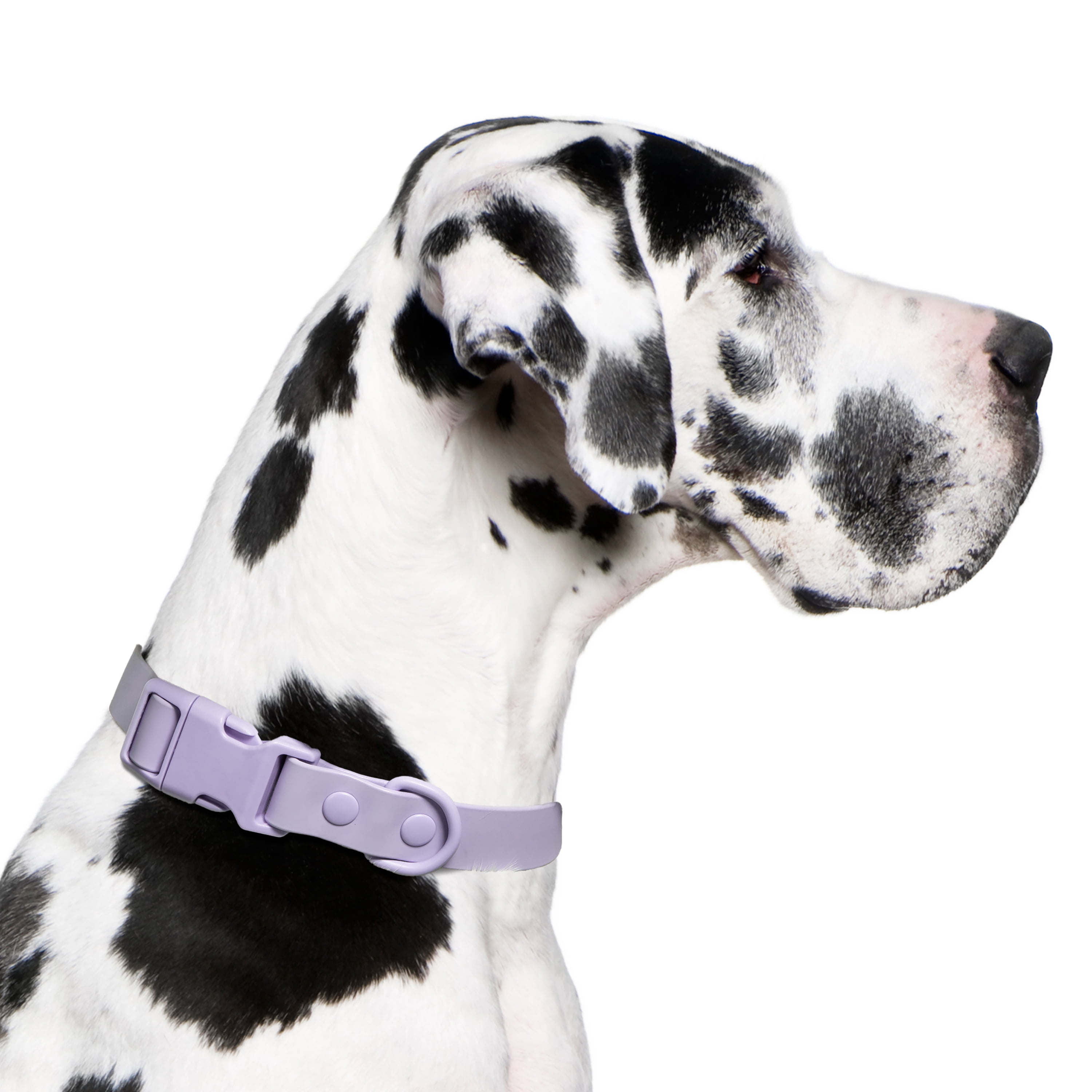 Vibrant Life Water Resistant Adjustable Dog Collar, Lavender, XL