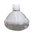 thumbnail image 1 of AJIWYH Kids Toddler Baby Girls Spring Summer Print Ruffle Sleeveless Party Decorations Princess Dress White,4-5 Years, 1 of 9