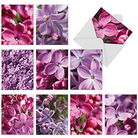 Photo Color Card 'M6055 THE COLOR PURPLE' 10 Assorted Thank You Greeting Cards Featuring Close-Up Photos of Lovely Lilac Flowers with Envelopes by The Best Card Company ()