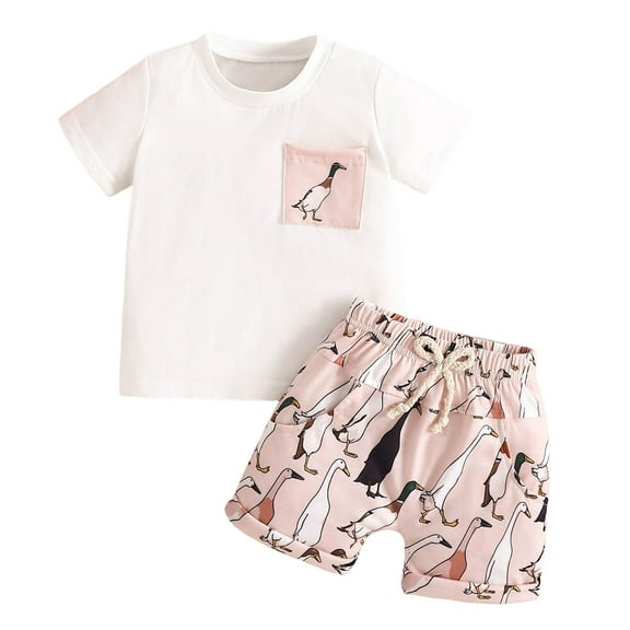Fsqjgq Baby Boys Summer Clothes Sets Toddler Boy Outfits Animal Love Printed Short Sleeve T Shirt Tops and Shorts 2-Piece Cotton Clothing Sets
