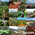 thumbnail image 4 of Midnight Blend - Roasted by Vashon Island Coffee Roasterie - Freshly Ground Coffee - 2 Pound Bag, 4 of 5