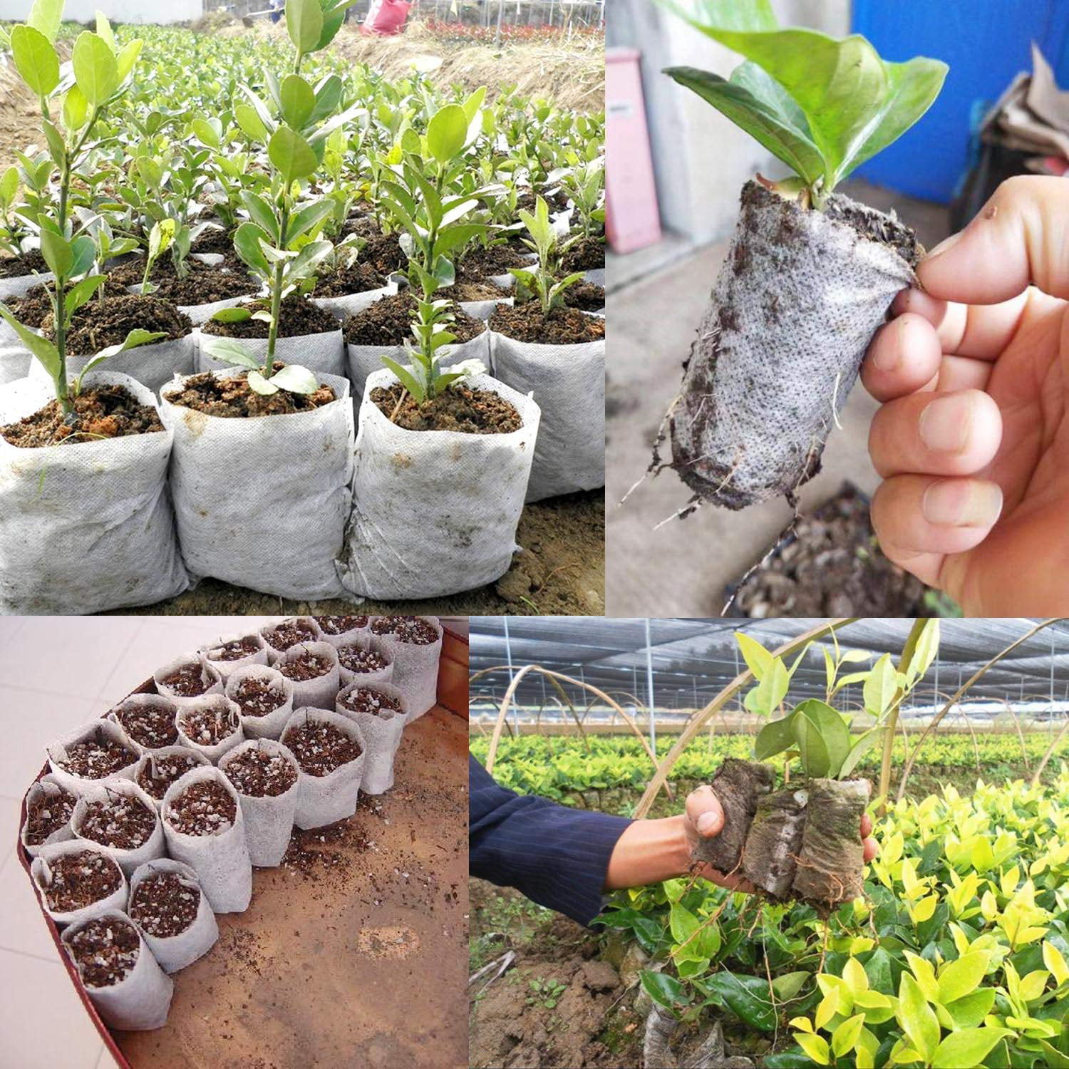 100 PCS Biodegradable Non-Woven Nursery Bags Planting Grow Bags Seedling    Pot 