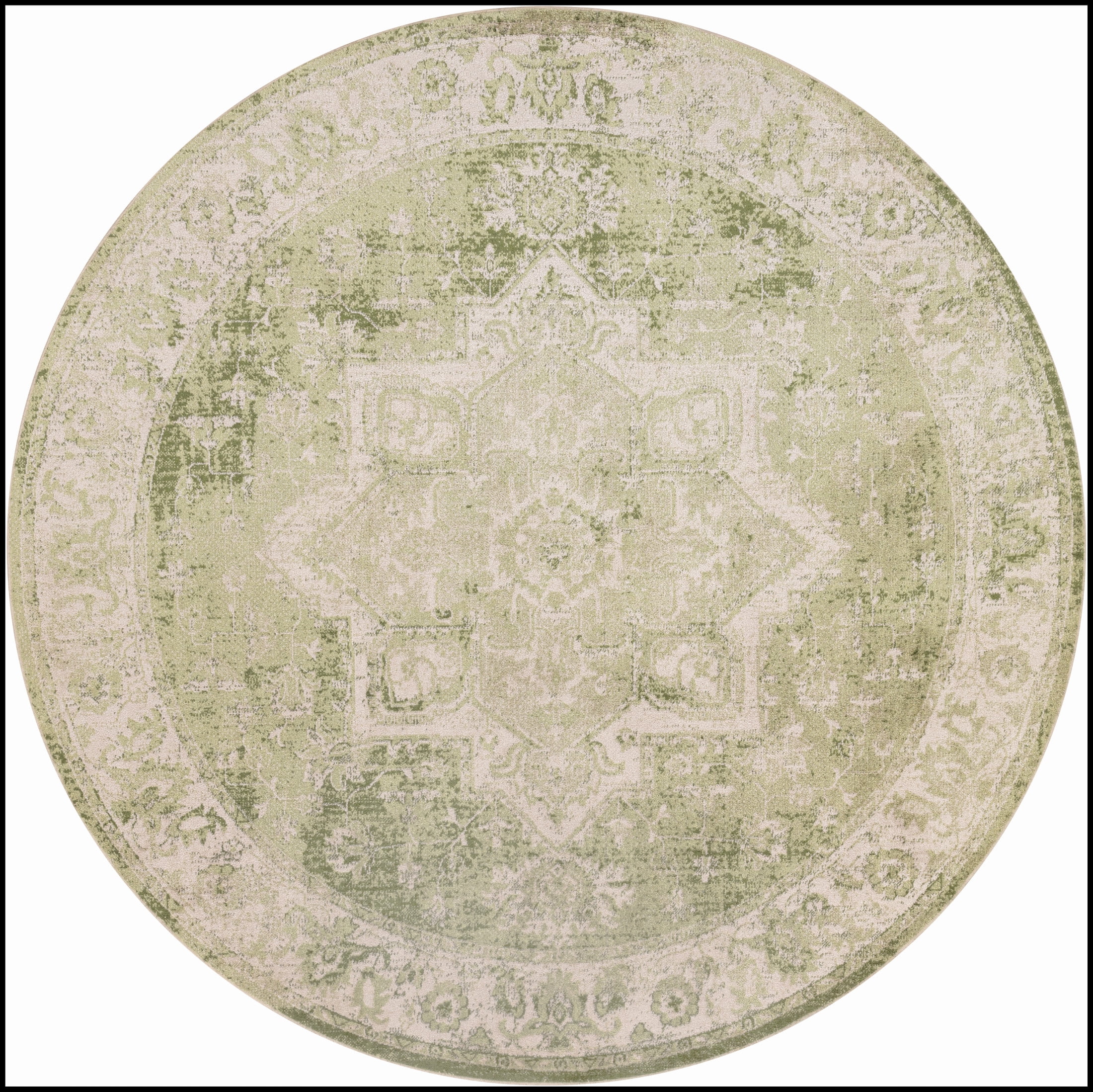 Nourison Astra Machine Washable 7'10" x Round Ivory Green Vintage Indoor Rug