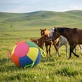 thumbnail image 4 of Inflatable Horse Toy Ball, Large Polyester Grazing Ball for Exercise & Play, Tough Lightweight Training/Aid for Paddock/Pasture/Yard Boredom Buster B, 4 of 5