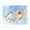 Blue/Orange/Yellow, variant on Jennifer Rose Garden Birds Winter Poster
