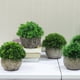 thumbnail image 5 of Gwong Decoración hogareña Flor artificial planta hierba papel pulpa olla bonsai ornamento jardín escritorio decoración Gwong 21040484, 5 of 7