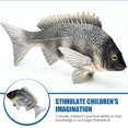 thumbnail image 4 of Toys Animal Teaching Aid Fish Table Centerpiece Simulation Black Sea Bream Figure Simulation African Crucian Carp Ornamental Fish Ocean Plastic Child, 4 of 6