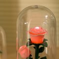 thumbnail image 3 of Atmósfera Noche Ligera Flower Preservado Regalos Rosa para Ella () White, 3 of 9
