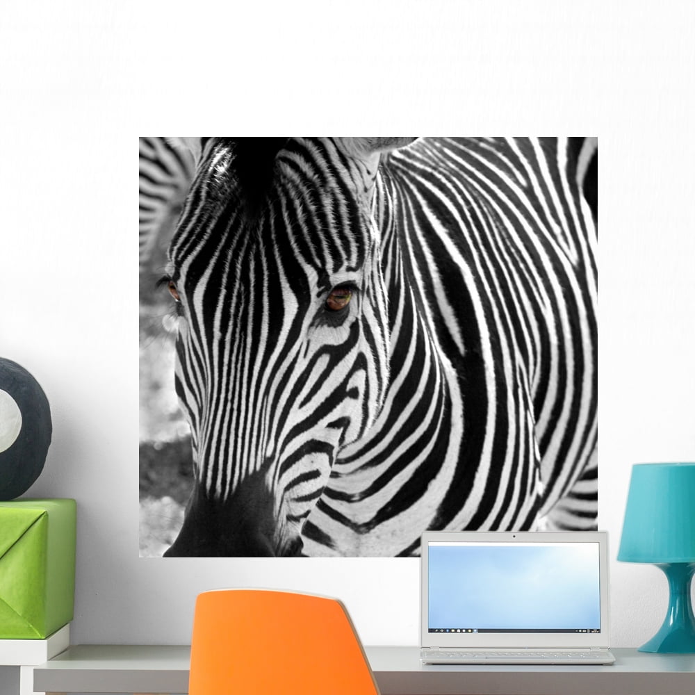 Zebra Wall Mural by Wallmonkeys Peel and Stick Graphic (24 in W x 22 in