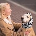 thumbnail image 1 of Jacenvly - Orejeras con cancelación de ruido para perros, accesorios esenciales para mascotas, lindas orejeras de baño, mascarilla calmante para la cabeza, diadema con cancelación de ruido, 1 of 6