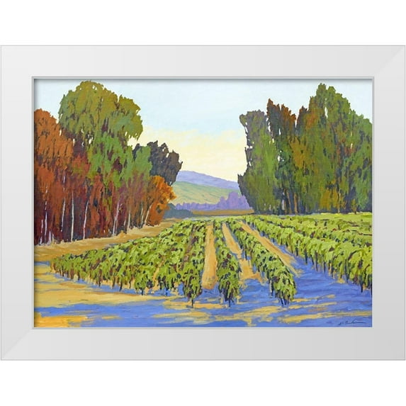 Bradshaw, Don 24x19 White Modern Wood Framed Museum Art Print Titled - To Estrella