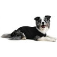 thumbnail image 2 of Suitical Recovery Suit Dog, XX-Large, Black, 2 of 5