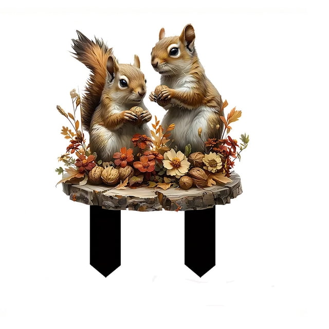 Birdeem A Couple of Squirrels Acrylic Flower Pot Decorative Ground Insert