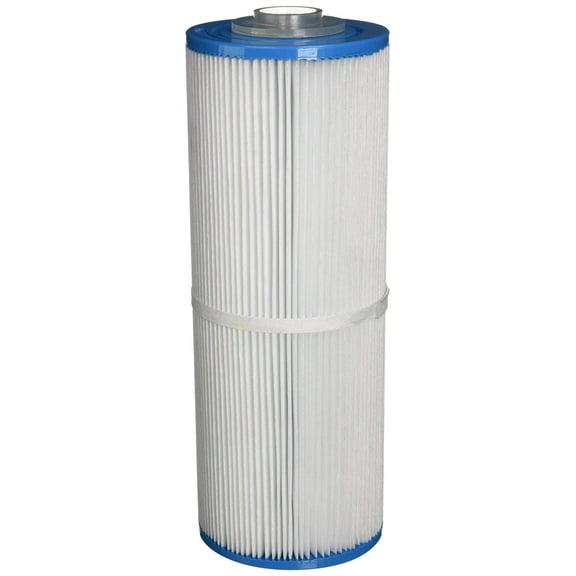 Pentair Leaf Trap 25 sq. ft. Cartridge w/ Plug|| R172653