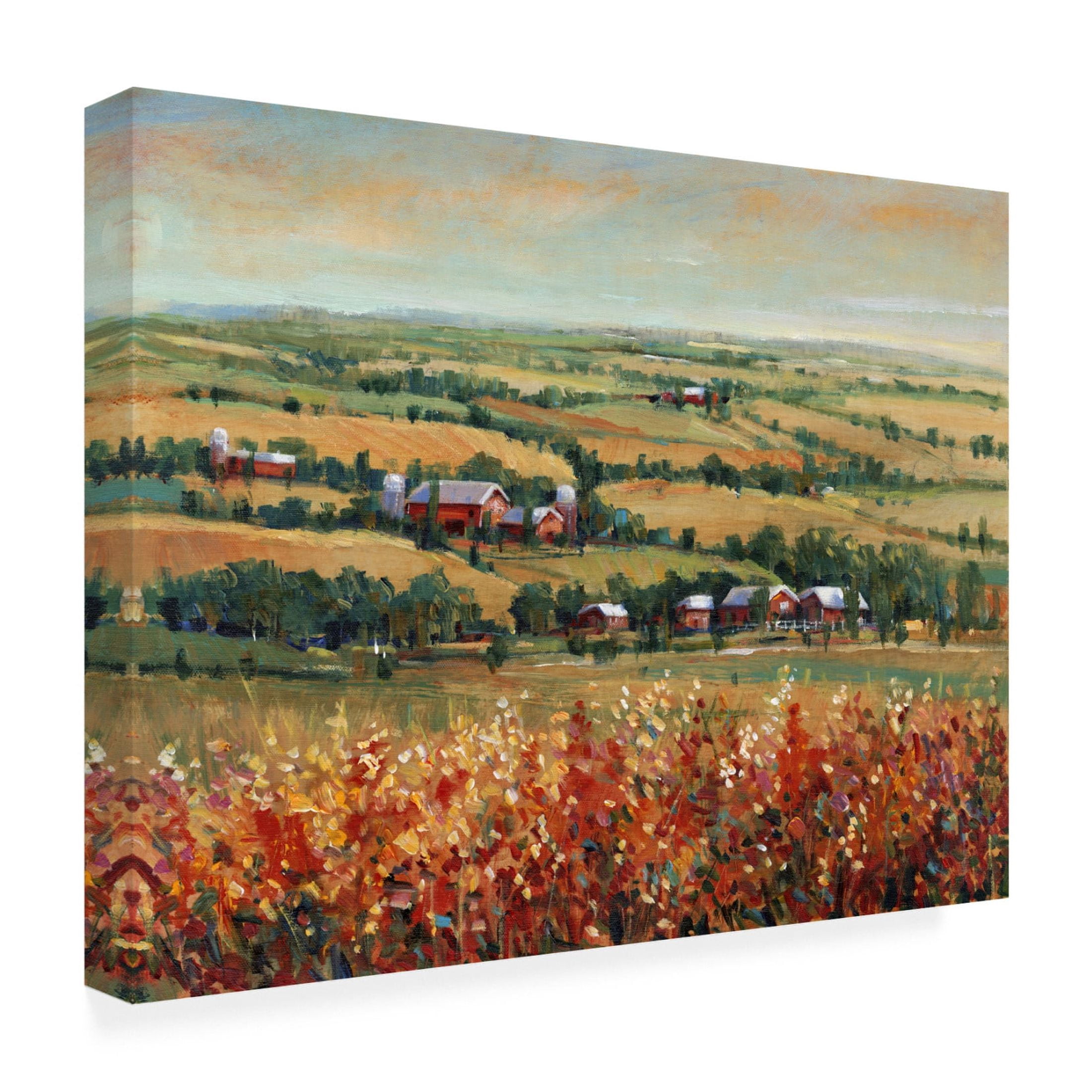 Trademark Fine Art Tim OToole Rural Open Landscape II Canvas Wall Art