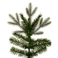 thumbnail image 2 of Vickerman 7.5' x 44" Douglas Fir Artificial Slim Unlit Christmas Tree., 2 of 5