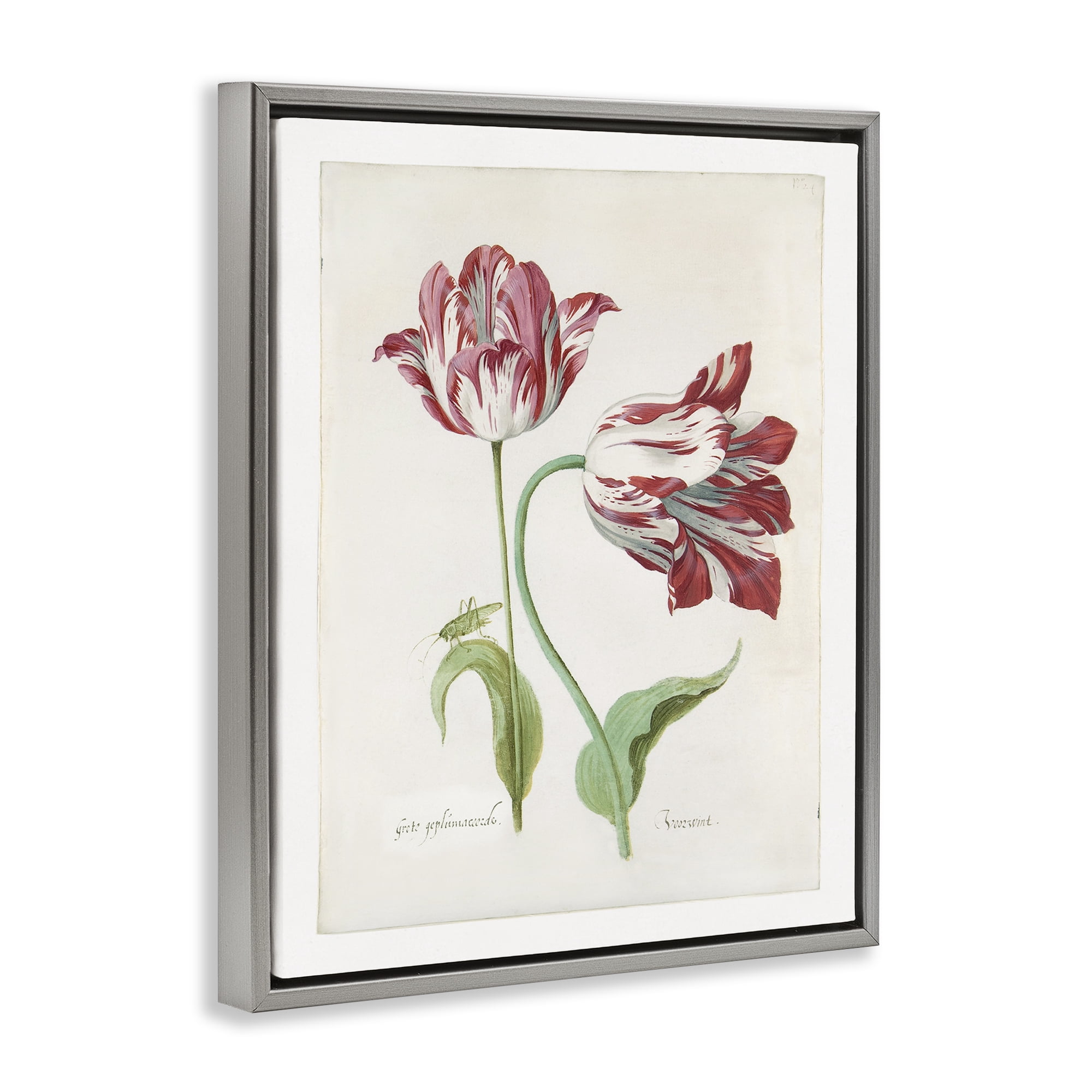 Stupell Industries Classic Tulip Study Plants & Flowers Painting Gray Floater Framed Canvas Art Print Wall Art, 17 x 21