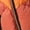 Fox/Red Ochre, variant on Regatta Mens Dalent Hooded Insulated Jacket