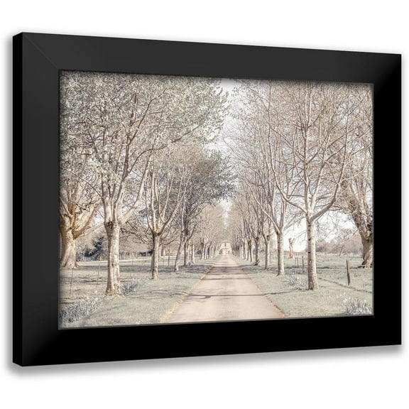 Frank, Assaf 14x12 Black Modern Framed Museum Art Print Titled - Pathway through forest