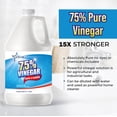 thumbnail image 2 of Stellar Chemical Corp - 75% Pure Vinegar - 100% Natural Concentrated Cleaner - Dilutes to 15 Gallons - 15x Power Vinegar - 1 Gallon, 2 of 4