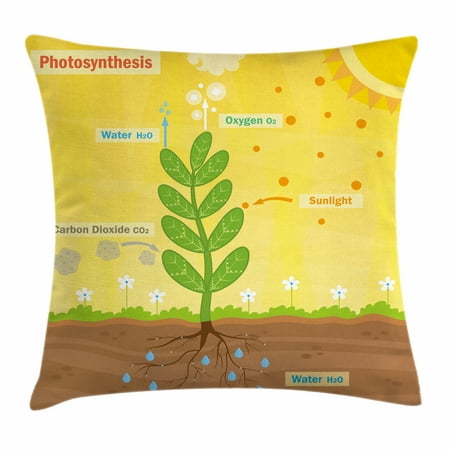 Educational Throw Pillow Cushion Cover, Cartoon Photosynthesis Oxygen Carbon Dioxide Sunlight and Water, Decorative Square Accent Pillow Case, 16 X 16 Inches, Earth Yellow Green Umber, by