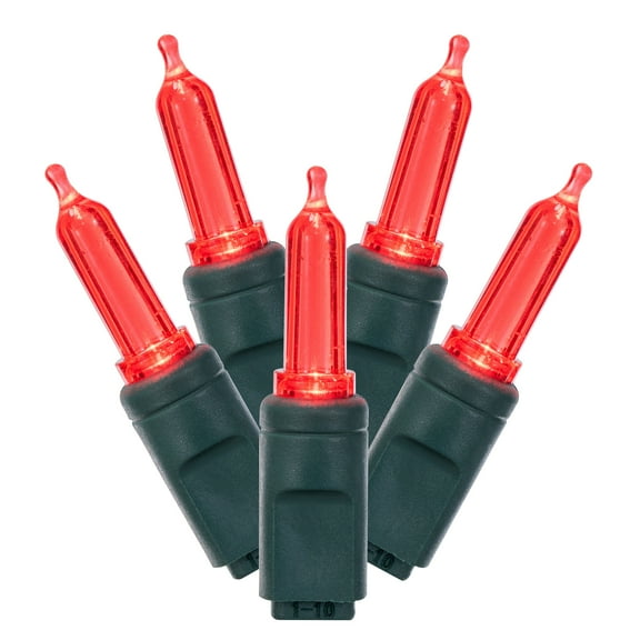 Vickerman 50 Red Italian LED Light on Green Wire, 25' Christmas Single Mold Light Strand