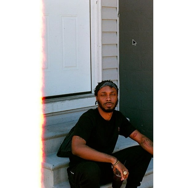 Jpegmafia Veteran Vinyl Walmart Com Walmart Com
