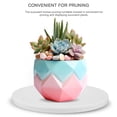 thumbnail image 3 of Minkissy Base Para Macetas Soporte Estable Para Arreglo Floral Y Cultivo De Plantas, 3 of 8