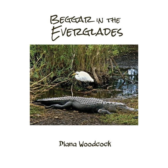 Beggar in the Everglades (Paperback)