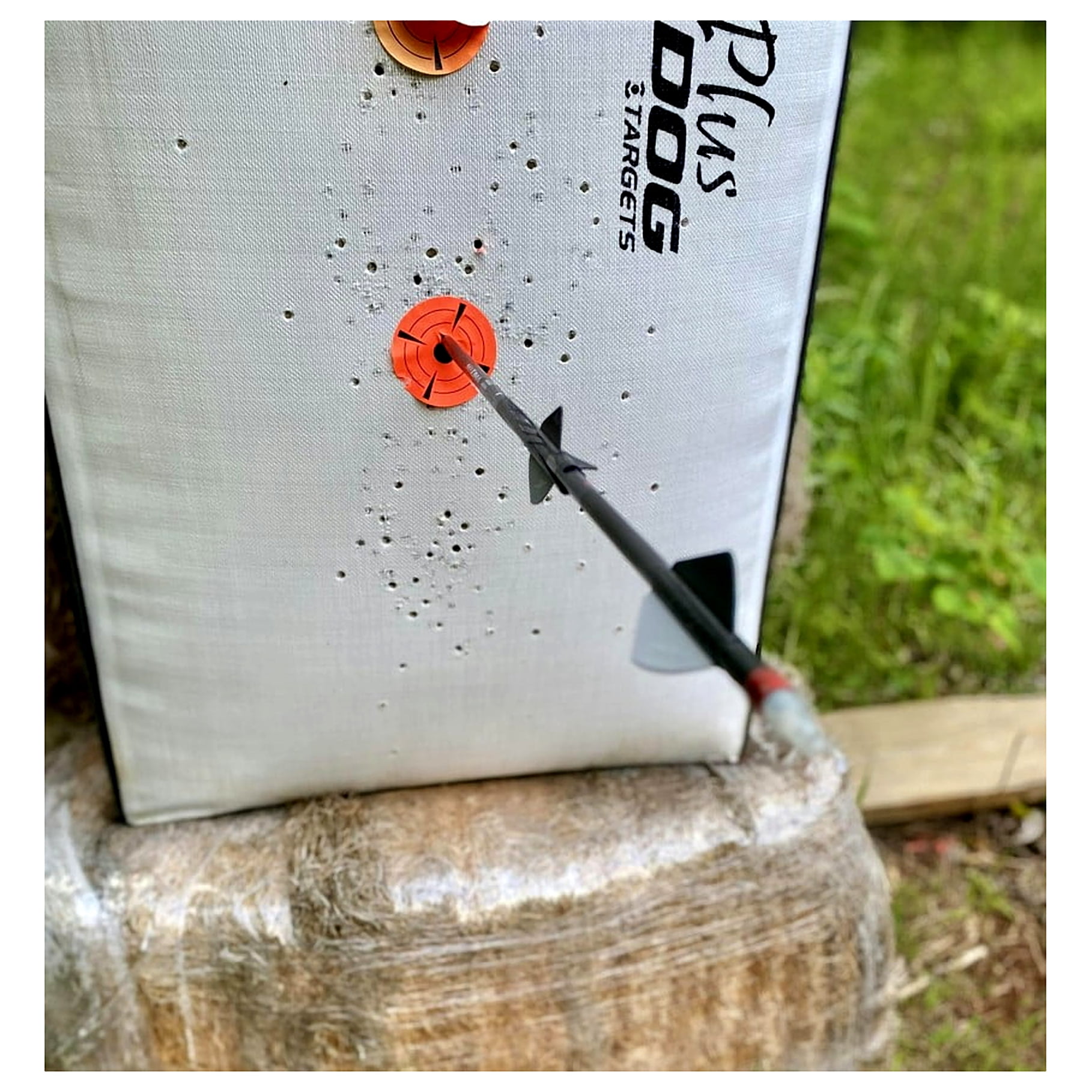 Bulldog Targets Double Dog Archery Target
