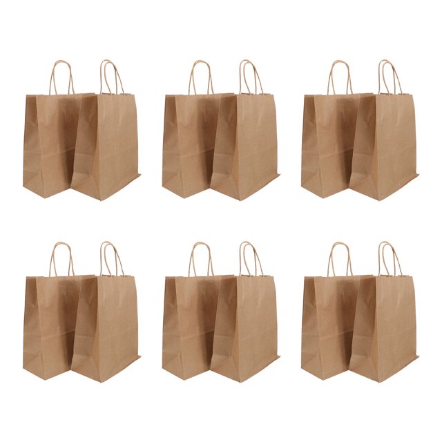 TAILTOSS 25 Pcs Petits Sacs en Papier avec Poignées pour Utilisateurs Généraux Sac